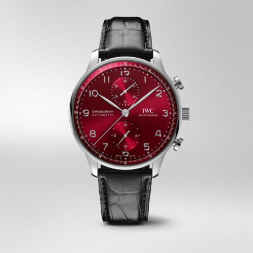 IWC 2020新作オーダー会