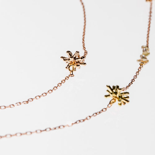 ＫＡＯＲＵスターダスト