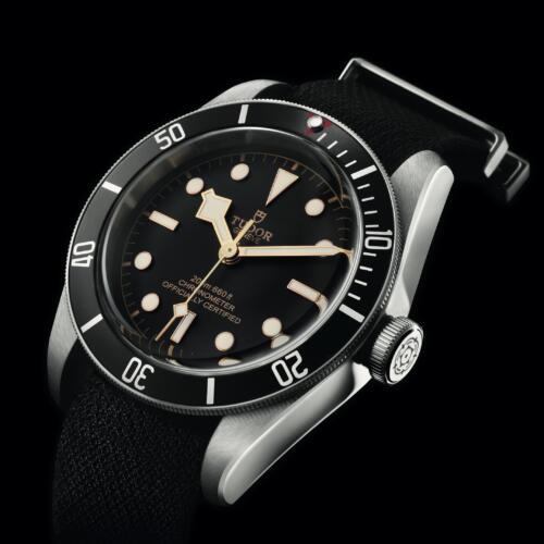TUDOR -BLACK BAY-