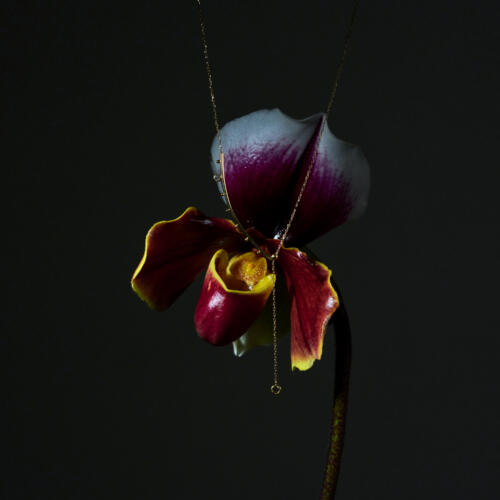 あなただけの “ UUUU ”