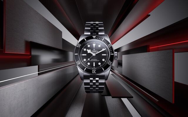 【TUDOR】 W＆W -BLACK BAY-