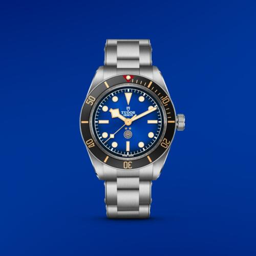 TUDOR　－ブラックベイ58 “インテル”－