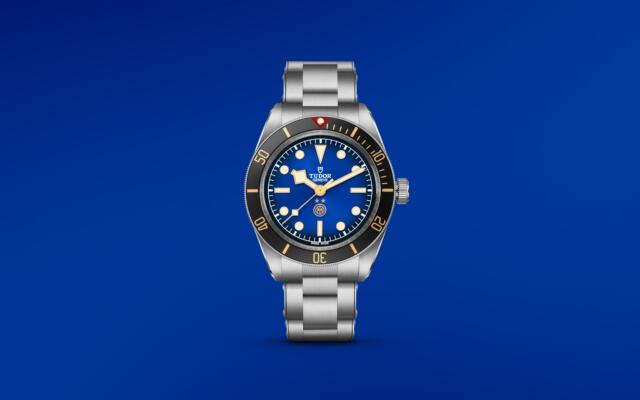 TUDOR　－ブラックベイ58 “インテル”－