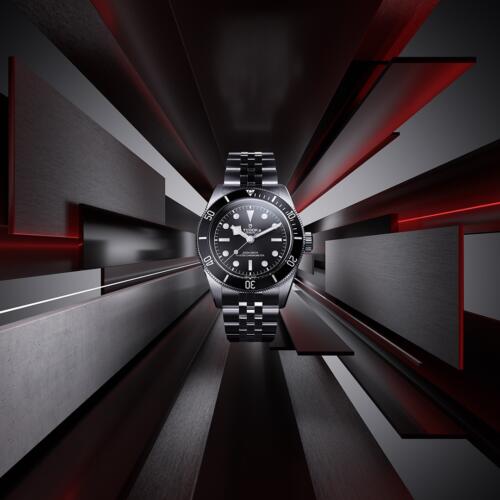 【TUDOR】　2024年W&WGの新作振り返り