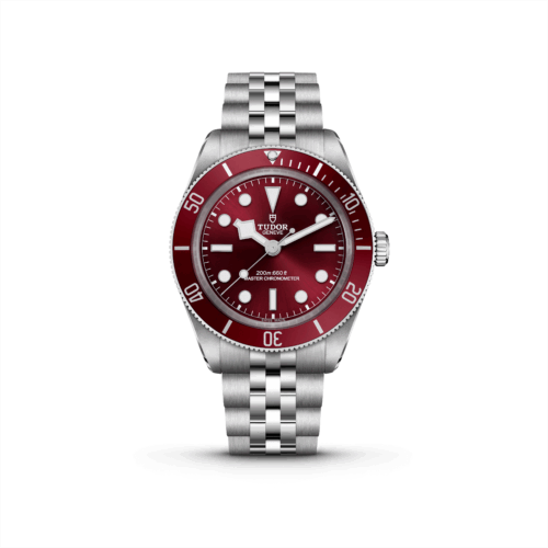 TUDOR　－BLACK BAY  58 －