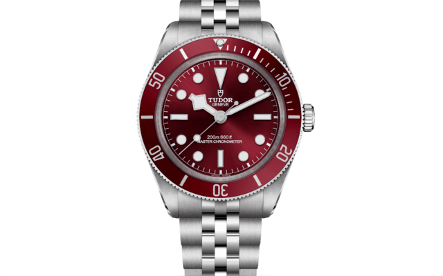 TUDOR　－BLACK BAY  58 －